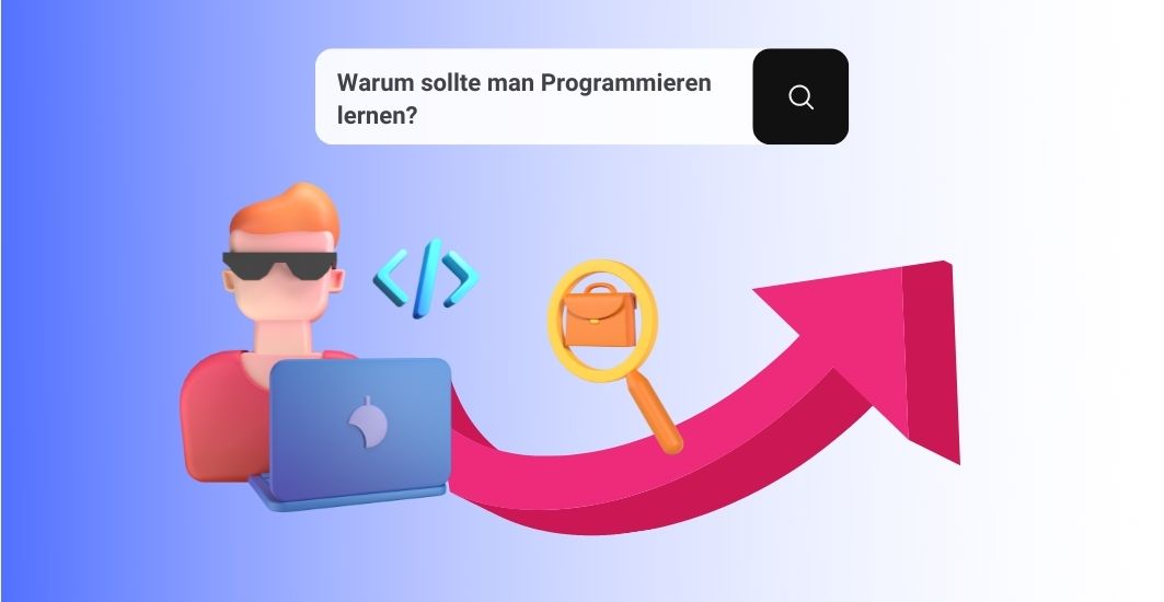 Illustration, eines Programmierers 